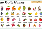 Stone Fruits Names in English with Their Pictures