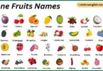 Stone Fruits Names in English with Their Pictures