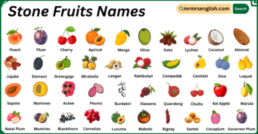 Stone Fruits Names in English with Their Pictures