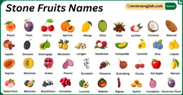 Stone Fruits Names in English with Their Pictures