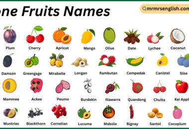 Stone Fruits Names in English with Their Pictures