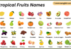 Subtropical Fruits Names in English with Their Pictures