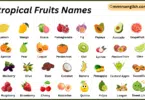 Subtropical Fruits Names in English with Their Pictures