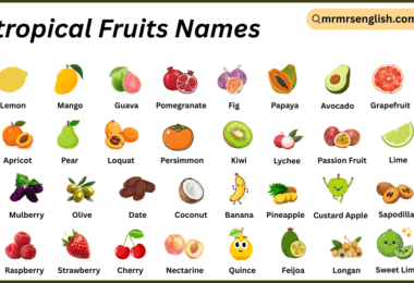 Subtropical Fruits Names in English with Their Pictures