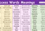 100 success Words Meanings