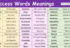 100 success Words Meanings