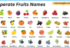 Temperate Fruits Names in English with Their Pictures