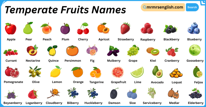 Temperate Fruits Names in English with Their Pictures