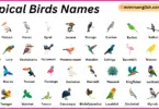 Tropical Birds Names in English with Their Pictures