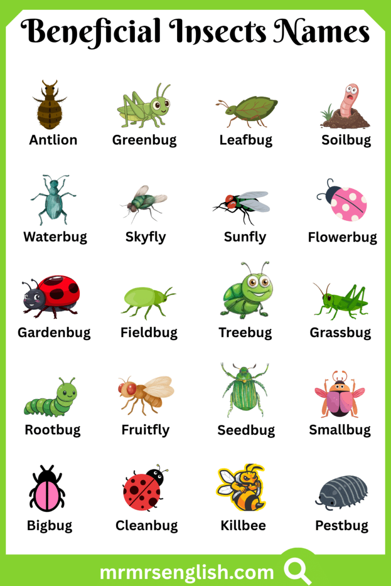 Beneficial Insects Names in English with Their Pictures - MR MRS ENGLISH