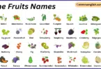 Vine Fruits Names in English with Their Pictures