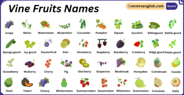 Vine Fruits Names in English with Their Pictures