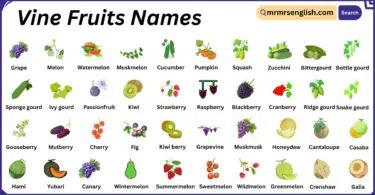 Vine Fruits Names in English with Their Pictures