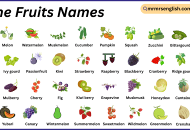 Vine Fruits Names in English with Their Pictures