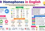 What Are Homophones in English with Meaning and Examples