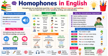 What Are Homophones in English with Meaning and Examples