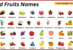 Wild Fruits Names in English with Their Pictures