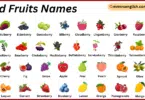 Wild Fruits Names in English with Their Pictures
