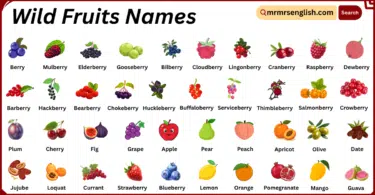 Wild Fruits Names in English with Their Pictures