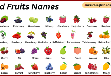 Wild Fruits Names in English with Their Pictures