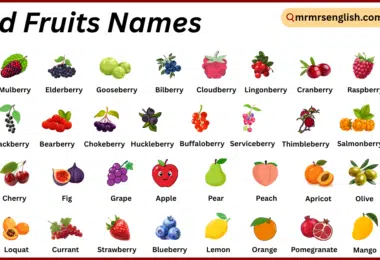 Wild Fruits Names in English with Their Pictures