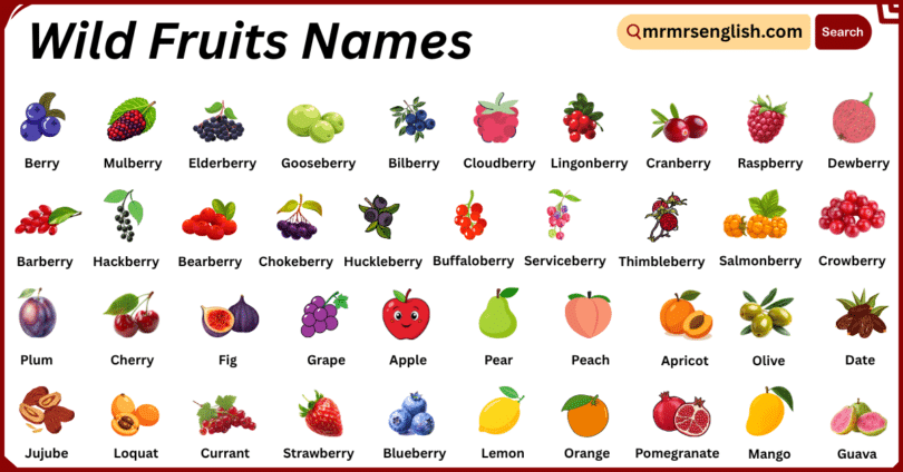 Wild Fruits Names in English with Their Pictures