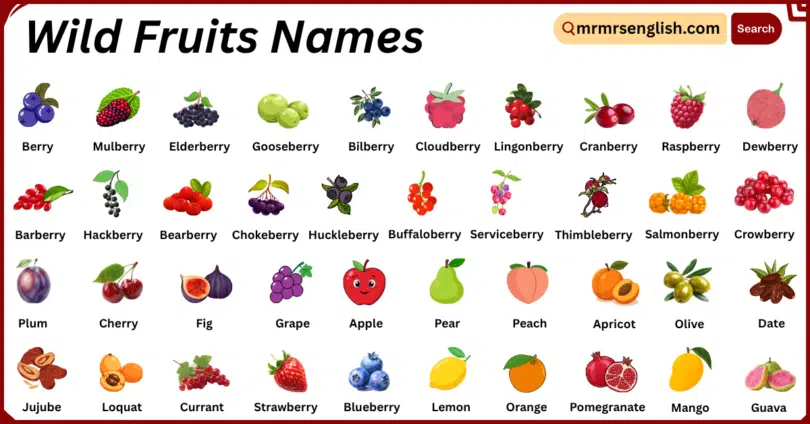 Wild Fruits Names in English with Their Pictures