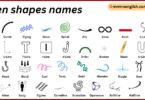 open shapes names in English with Their Pictures