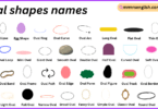 oval shapes names in English with Their Pictures
