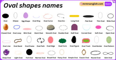oval shapes names in English with Their Pictures