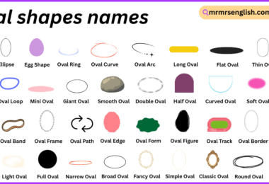 oval shapes names in English with Their Pictures