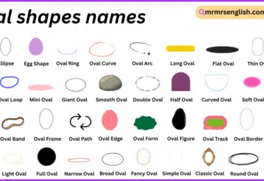 oval shapes names in English with Their Pictures