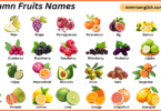 Autumn Fruits Names in English with Their Pictures