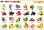Autumn Fruits Names in English with Their Pictures