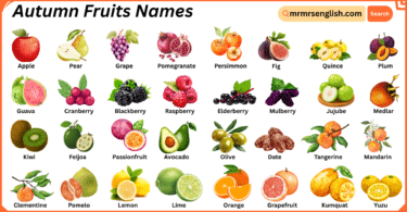 Autumn Fruits Names in English with Their Pictures