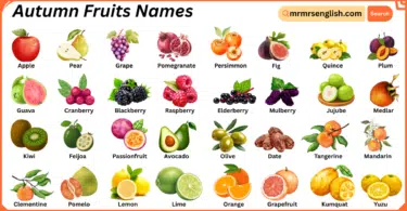 Autumn Fruits Names in English with Their Pictures
