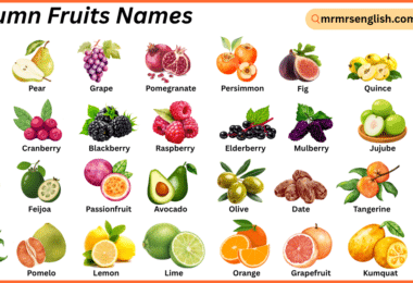 Autumn Fruits Names in English with Their Pictures