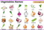 Bulb Vegetables Names in English with Their Pictures