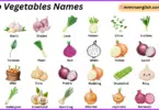 Bulb Vegetables Names in English with Their Pictures