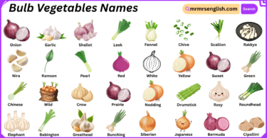 Bulb Vegetables Names in English with Their Pictures