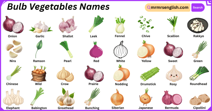 Bulb Vegetables Names in English with Their Pictures