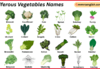 Cruciferous Vegetables Names in English with Their Pictures