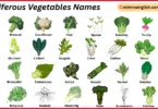 Cruciferous Vegetables Names in English with Their Pictures