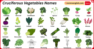 Cruciferous Vegetables Names in English with Their Pictures