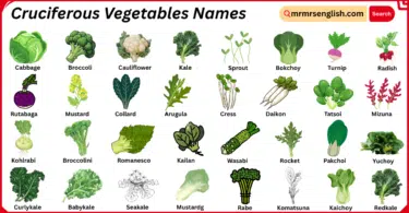 Cruciferous Vegetables Names in English with Their Pictures
