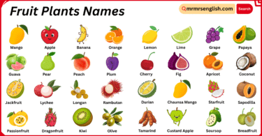 Fruit Plants Names in English with Their Pictures