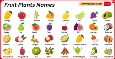 Fruit Plants Names in English with Their Pictures