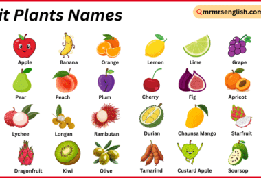 Fruit Plants Names in English with Their Pictures