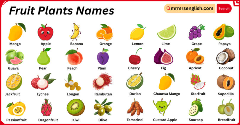 Fruit Plants Names in English with Their Pictures