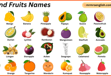 Island Fruits Names in English with Their Pictures